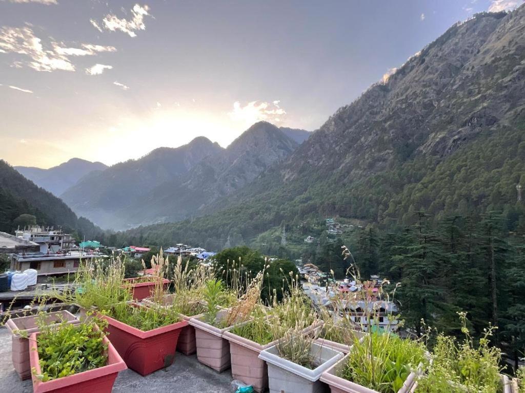 Diamond Valley X One Light Stays Kasol Εξωτερικό φωτογραφία